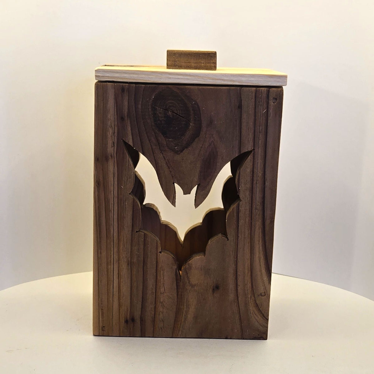 Halloween Lantern - Handmade Spider or Bat Lantern with LED Light