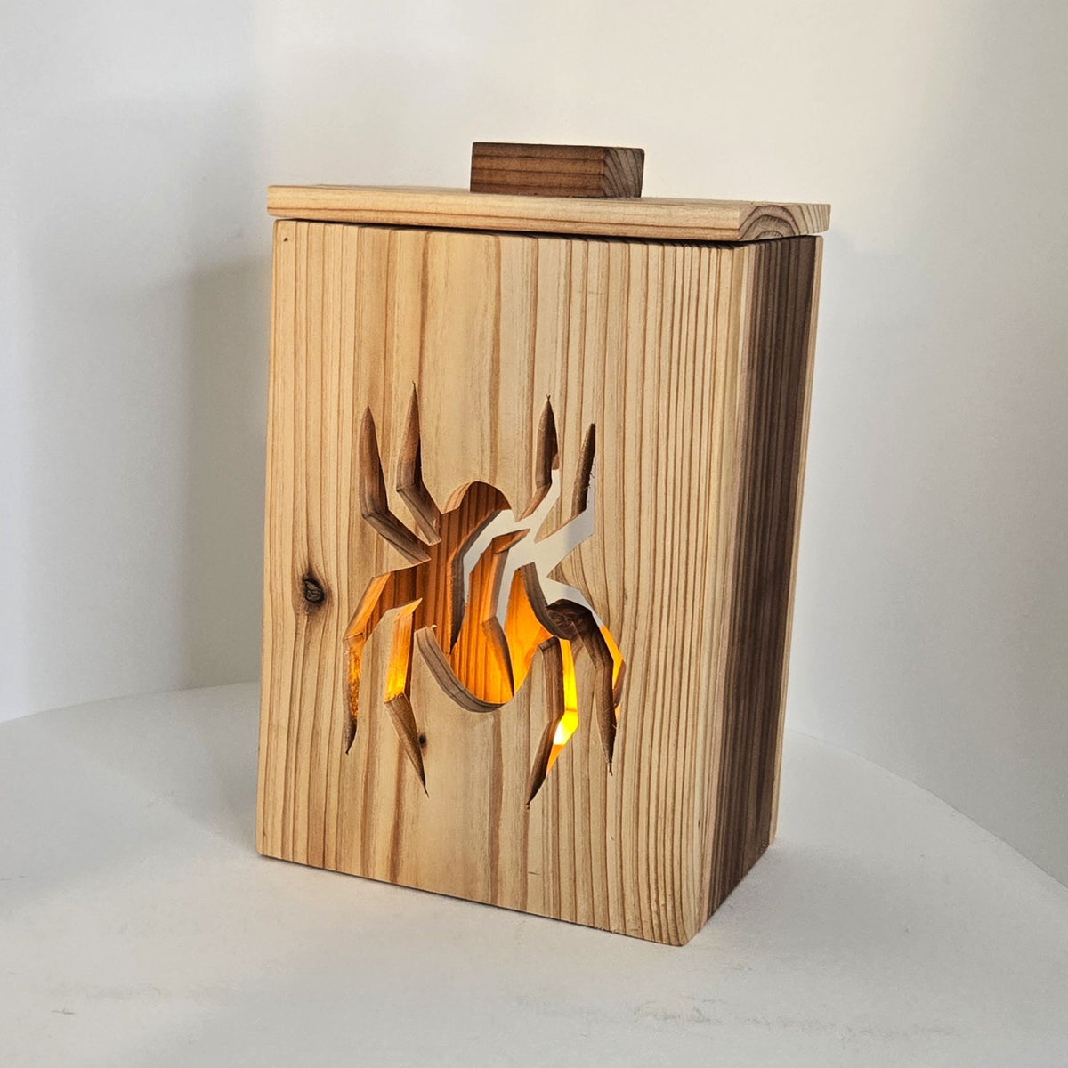 Halloween Lantern - Handmade Spider or Bat Lantern with LED Light